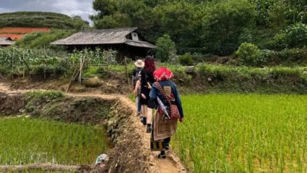 1-Day Hiking Tour in Sapa: Y Linh Ho, Lao Chai & Ta Van – Explore Rice Terraces and Ethnic Villages